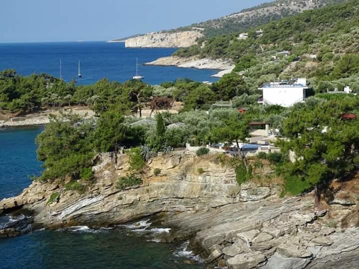 Gorgona Rooms Alikí Exteriér fotografie